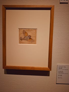 オルセー美術館所蔵 印象派―室内をめぐる物語に投稿された画像（2025/7/13）