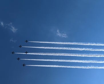 万博記念公園に投稿された画像（2025/7/13）