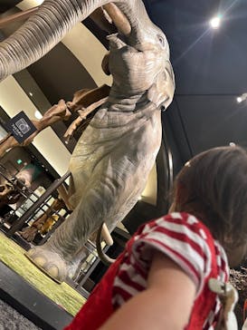 滋賀県立琵琶湖博物館に投稿された画像（2025/7/13）