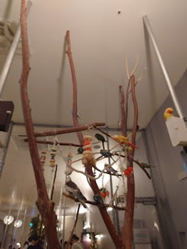 Moff animal cafe イオンモール幕張新都心店に投稿された画像（2025/7/13）