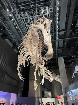 福井県立恐竜博物館に投稿された画像（2025/7/13）