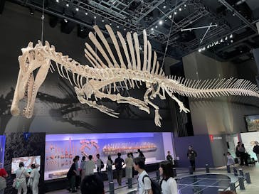 福井県立恐竜博物館に投稿された画像（2025/7/13）