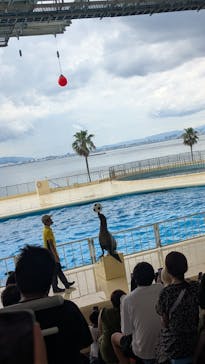 マリンワールド海の中道に投稿された画像（2025/7/13）