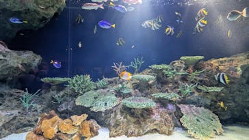 マリンワールド海の中道に投稿された画像（2025/7/13）