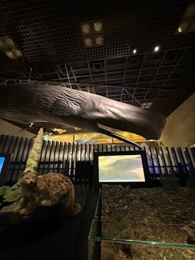 国立科学博物館に投稿された画像（2025/7/13）