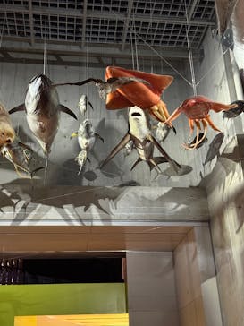 国立科学博物館に投稿された画像（2025/7/13）