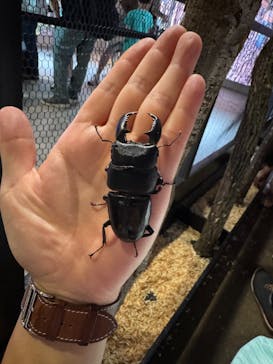 JOYPOLIS 特別イベントスペースに投稿された画像（2025/7/13）