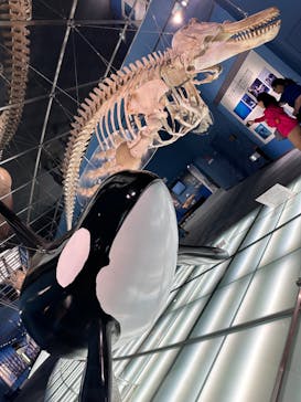 名古屋港水族館に投稿された画像（2025/7/13）