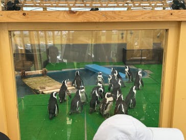 名古屋港水族館に投稿された画像（2025/7/13）