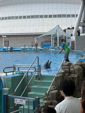 名古屋港水族館に投稿された画像（2025/7/13）