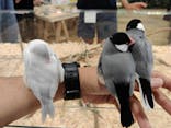 いきもの探検隊湘南に投稿された画像（2025/7/13）