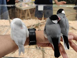 いきもの探検隊湘南に投稿された画像（2025/7/13）