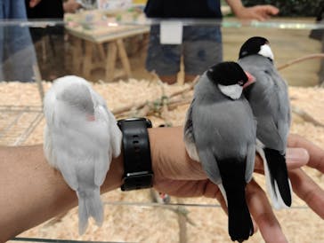 いきもの探検隊湘南に投稿された画像（2025/7/13）