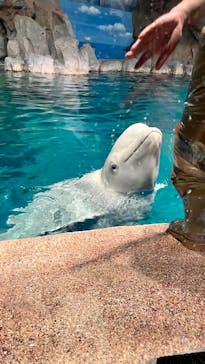 名古屋港水族館に投稿された画像（2025/7/13）
