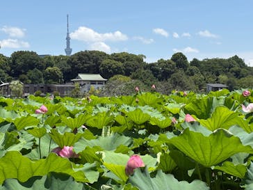 恩賜上野動物園に投稿された画像（2025/7/13）