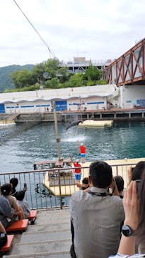 伊豆・三津シーパラダイスに投稿された画像（2025/7/13）