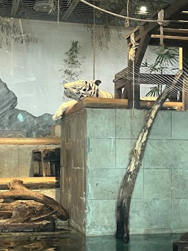 NIFREL（ニフレル）に投稿された画像（2025/7/13）