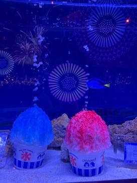 マクセル アクアパーク品川に投稿された画像（2025/7/13）