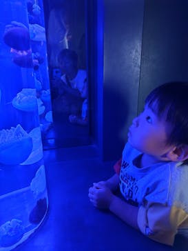 サンシャイン水族館に投稿された画像（2025/7/13）