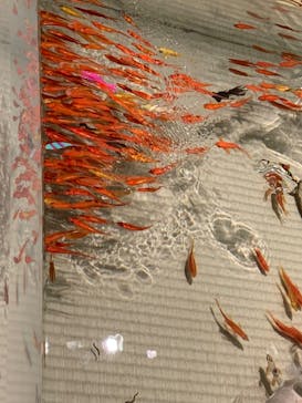 あべのハルカス美術館に投稿された画像（2025/7/13）