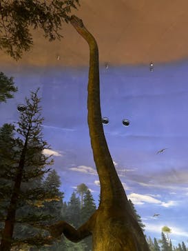 福井県立恐竜博物館に投稿された画像（2025/7/13）