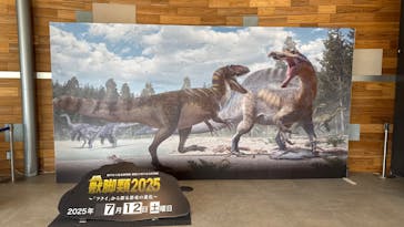 福井県立恐竜博物館に投稿された画像（2025/7/13）