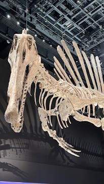 福井県立恐竜博物館に投稿された画像（2025/7/13）