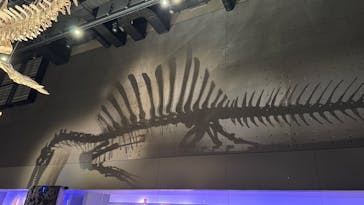 福井県立恐竜博物館に投稿された画像（2025/7/13）