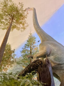 福井県立恐竜博物館に投稿された画像（2025/7/13）