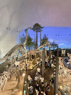 福井県立恐竜博物館に投稿された画像（2025/7/13）