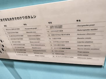 特別展 『昆虫 MANIAC』に投稿された画像（2025/7/13）