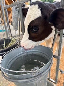 まかいの牧場に投稿された画像（2025/7/13）