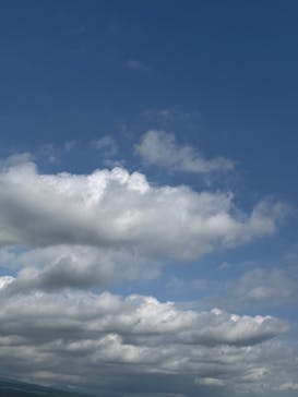 まかいの牧場に投稿された画像（2025/7/13）