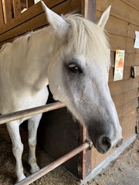 まかいの牧場に投稿された画像（2025/7/13）