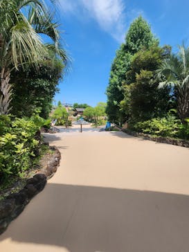 鈴鹿サーキットに投稿された画像（2025/7/13）