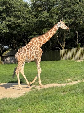 東武動物公園に投稿された画像（2025/7/13）