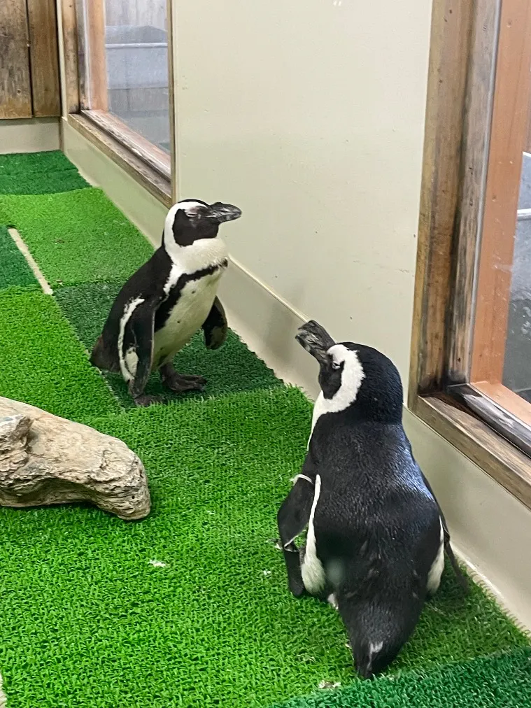 すさみ町立エビとカニの水族館の口コミ ｜海沿いなので涼しくて