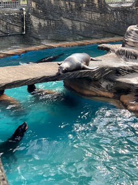 名古屋市東山動植物園に投稿された画像（2025/7/13）