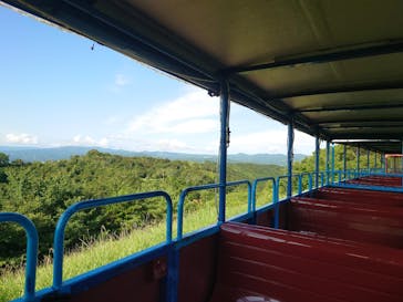 修善寺虹の郷に投稿された画像（2025/7/13）