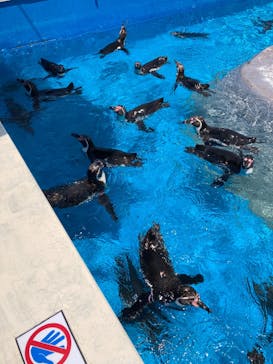 南知多ビーチランド＆南知多おもちゃ王国に投稿された画像（2025/7/13）