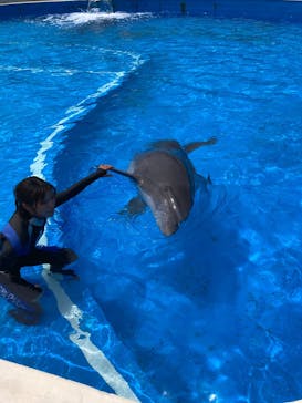 南知多ビーチランド＆南知多おもちゃ王国に投稿された画像（2025/7/13）