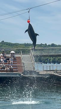 伊豆・三津シーパラダイスに投稿された画像（2025/7/13）