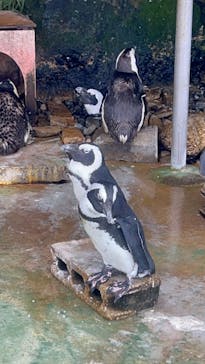 伊豆・三津シーパラダイスに投稿された画像（2025/7/13）