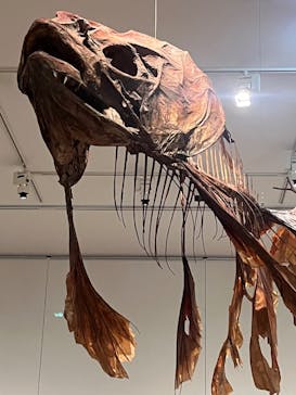 あべのハルカス美術館に投稿された画像（2025/7/13）