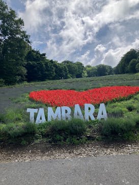 たんばらラベンダーパークに投稿された画像（2025/7/13）