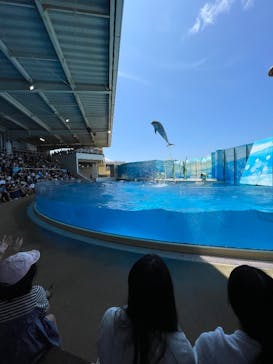 新江ノ島水族館に投稿された画像（2025/7/13）