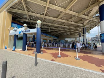 新江ノ島水族館に投稿された画像（2025/7/13）