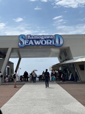 鴨川シーワールドに投稿された画像（2025/7/13）