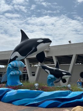 鴨川シーワールドに投稿された画像（2025/7/13）