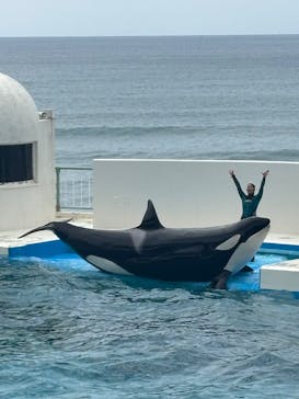 鴨川シーワールドに投稿された画像（2025/7/13）